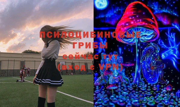 каннабис Каменногорск