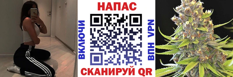 Купить где  Ворсма  Конопля LSD WEED 